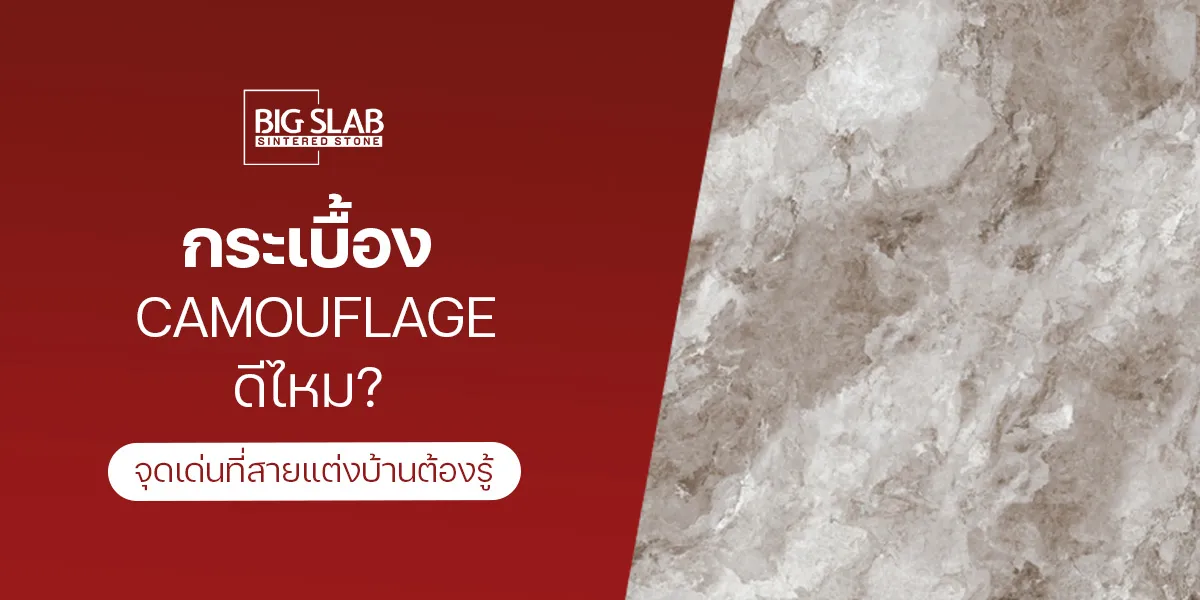 กระเบื้อง Camouflage ดีไหม? จุดเด่นที่สายแต่งบ้านต้องรู้